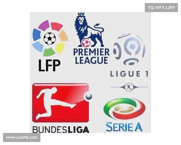 《全面解析五大联赛的特色与差异化发展趋势》